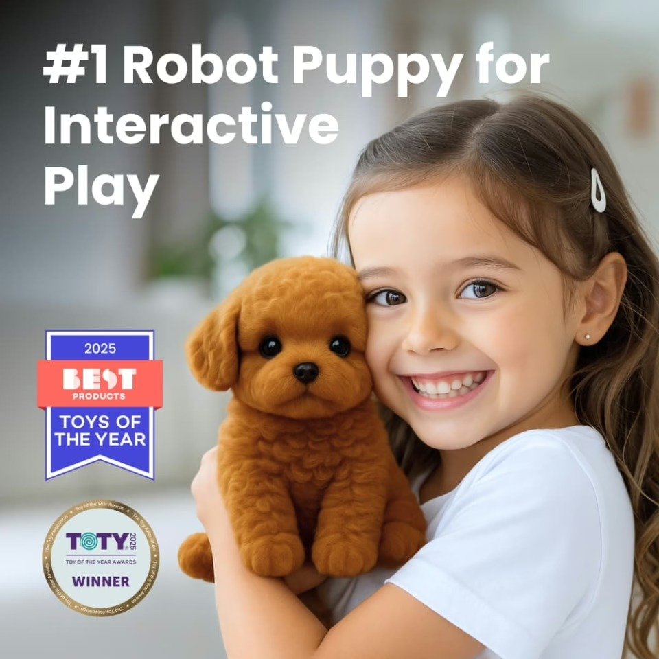 Girl with Wuffy Robot Puppy